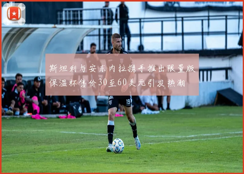 斯坦利与安东内拉携手推出限量版保温杯售价30至60美元引发热潮