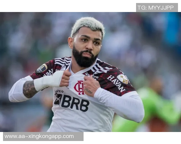 瑞天空报道纽卡水晶宫争夺埃尔哈努斯冬窗斯图加特不会放人