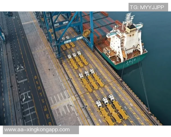 海港联合临港捷运推出全新直升机游览活动每位仅需1680元体验空中美景